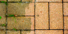 width=